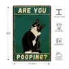 Black Cat Wall Decor Are You Pooping Sign Funny Metal