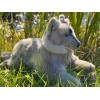 Auswella Keeweenaw Plush Grey Wolf