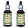 Figwort (Scrophulara Nodosa) Glycerite, Organic Dried Herb Alcohol-Free Liquid Extract
