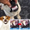 2 Juegos Cepillo Dientes de Perros y Kit Cepillado de