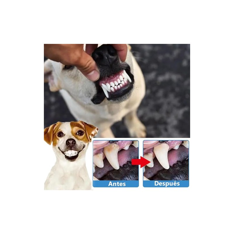 2 Juegos Cepillo Dientes de Perros y Kit Cepillado de