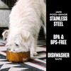 S'well Stainless Steel Pet Bowl, 16oz, Teakwood, for Small to