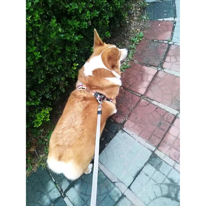 Shorven Arnés de algodón ajustable para perros, sin tirones, arnés