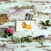 Parent New Mr. & Mrs. Panda S Make-Up Bag Leo