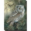Wild Wings 5084310030 Screech Owl Canvas Clock, 18-inch Height and