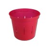 4" Slotted Clear Orchid Pots - 3 Pack (Ruby Red)