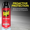 Raid Ant & Roach Aerosol Bug Spray, Water-Based Formula Insecticide