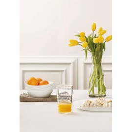 Bormioli Rocco Officina1825 Cooler Glass, 16 oz, Clear (Pack of 6)