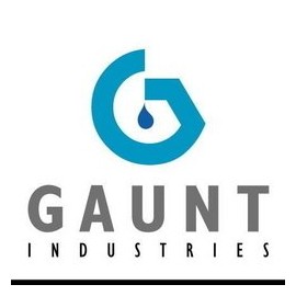 Gaunt Industries HYPO-35 - Paint Fill Golf Club Applicator Bottle - 2 Ounce Clear Plastic LDPE Bottle with 20 Gauge Blunt Needle tip