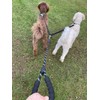 Double Dog Leash, Dual Dog Leash with Foam Handle and