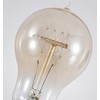 B22 Edison Light Bulb, 60 Watts, A19 Vintage Incandescent Light