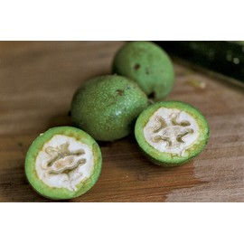 HEALTH RELIC Black Walnut Extract 4 oz Organic Juglans nigra Ripe Green Hulls Tincture