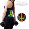 Canotagio Faja Deportiva de Sudoración para Abdomen y Cintura. Moldea
