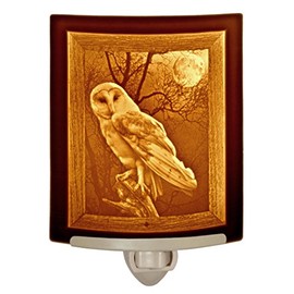 The Porcelain Garden The Owl Night Light, Porcelain Lithophane, Decorative Wall Plug in for Nursery, Bedroom Kitchen, Bath, Hallway; Bird Themed Accent Light