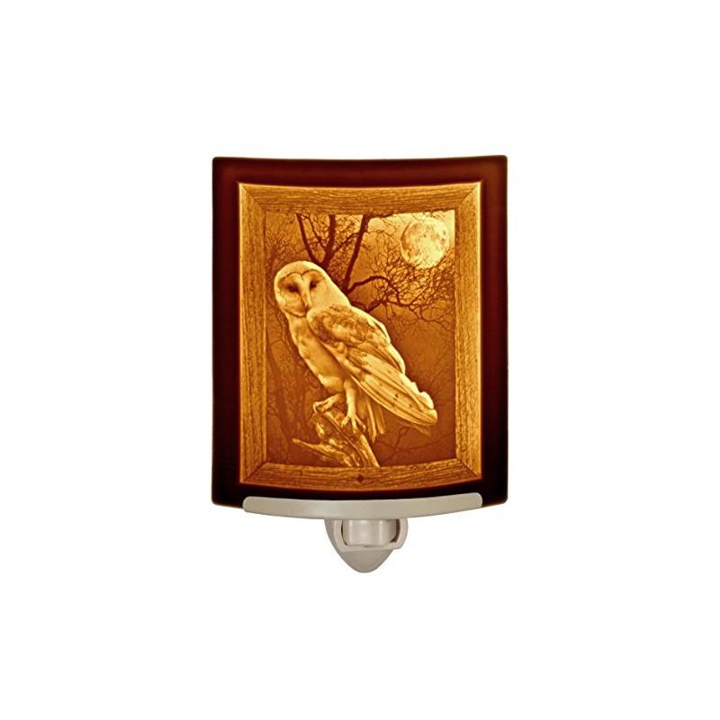 The Porcelain Garden The Owl Night Light, Porcelain Lithophane, Decorative