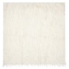 BENECREAT 40 x 40 cm Beige Faux Fur Fabric, Soft