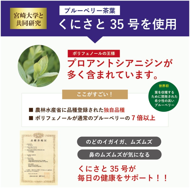 【 甘味料 砂糖 不使用 】くにさと35号のど飴 のど飴 喉飴 飴 ノンシュガー エキナケア