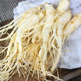 금산 황금농장 홍삼용 세척 원삼(중) 700g Geumsan Golden Farm Red Ginseng Whole Root (Medium) 700g