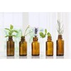  Sunflower Essential Oil - 100% Pure Aromatherapy Grade Essential