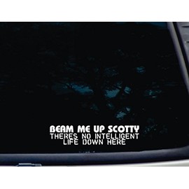 BEAM ME UP SCOTTY There's No Intelligent Life Down Here - 8" x 1 3/4" die cut vinyl decal for window, car, truck, tool box, virtually any hard, smooth surface