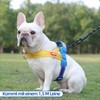 LiebeDD Dog Harness with Lead for Medium Small Dogs Puppies,