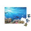 puzzleYOU: 48 Piece Underwater Scene with Coral Reef, Fish, Sharks,