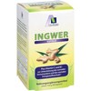 INGWER 500 mg Kapseln+Vitamin B1+C 90 St