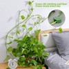 EBHO Pack of 50 Plant Clips, Plant Accessories, Plant Wall