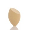 Philosophy Complexion Blending Sponge
