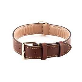 Brute Strength Leather Dog Collar - Brown - XXL - 66-73 cm