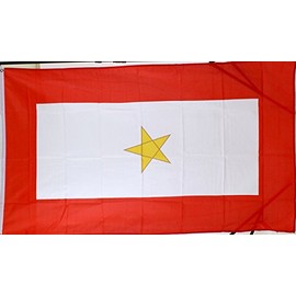Gold Star Service Flag 3' x 5'