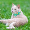 azuza Cat Collar with Bell, Adjustable Cat Collar with Bowtie