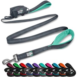 Black Rhino Aqua LEASH Dual Handle Heavy Duty Dog Leash for Medium to Large Dogs