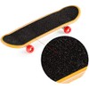 Bird Toy, Skateboarding, Pet Supplies, Educational Education, Training, Stress Relief,