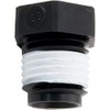 Pentair Pipe Plug, Sta-Rite, 1/4"