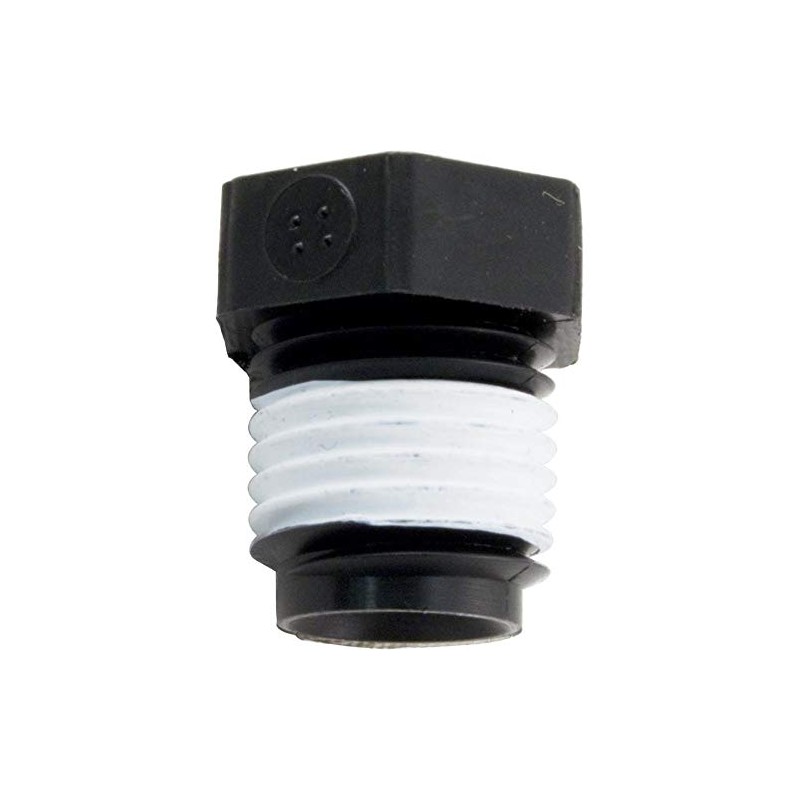 Pentair Pipe Plug, Sta-Rite, 1/4"