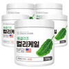 Charm Goods 동결건조 컬리케일 분말 120g 5통 Freeze-Dried Curly Kale