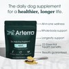 Longevity Multivitamin for Adult Dogs – 46 Ingredients for Gut,