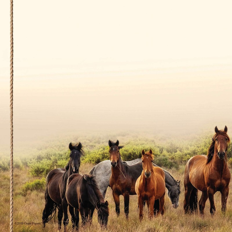 Cosco Horse Meadow Letterhead