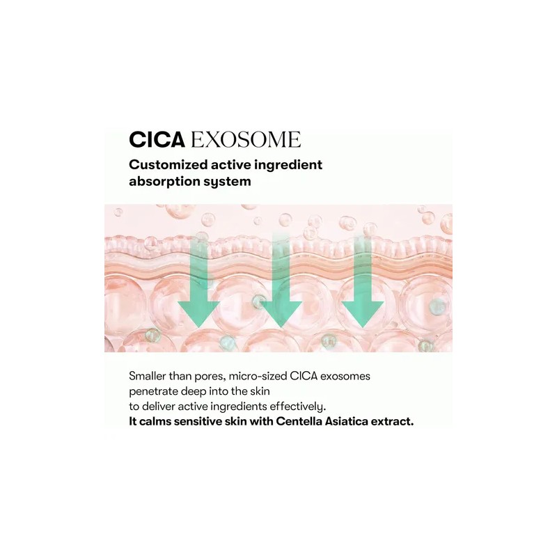 Vt Cosmetics Pdrn - Ampolla De Exosoma De Cica, Suero