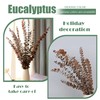(20Pcs) Dried Eucalyptus Stems - Red, Fall Decorations for Home,