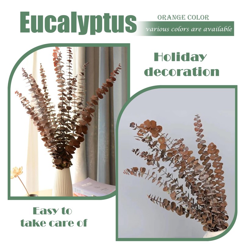(20Pcs) Dried Eucalyptus Stems - Red, Fall Decorations for Home,