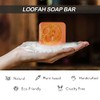 Dapoprren Natural Loofah Soap Bar 4PCS,Exfoliating Natural Soap with Loofah