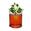 Mataba Houttuynia cordata extract 50ml / 마타바 어성초 추출물 50ml