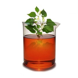 Mataba Houttuynia cordata extract 50ml / 마타바 어성초 추출물 50ml