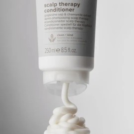 Paul Mitchell Clean Beauty - Acondicionador De Terapia Para