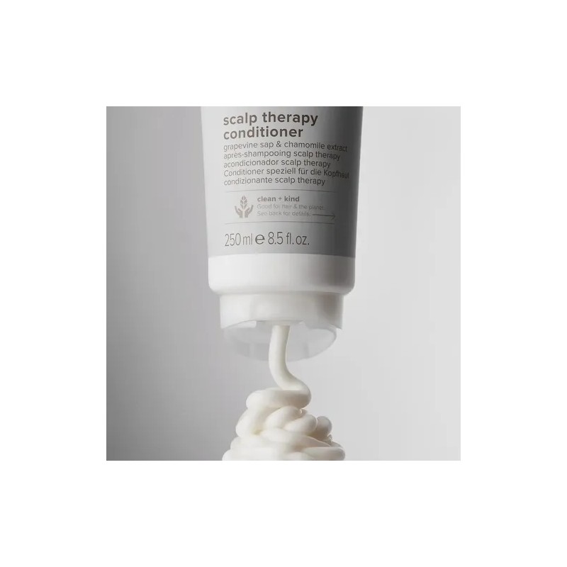 Paul Mitchell Clean Beauty - Acondicionador De Terapia Para