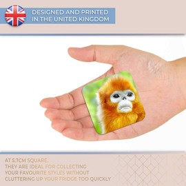 Destination Vinyl ltd Fridge Magnet - Cute Golden Snub-Nosed Monkey for Office, Cabinet and Whiteboard, Magnetic Stickers, 44776