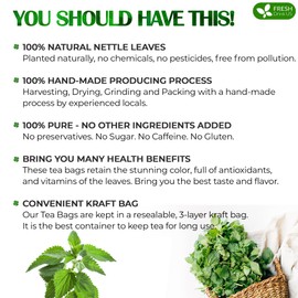 FreshDrinkUS, Premium 135 Nettle Leaf Tea Bags, 100% Natural & Pure, Stinging Nettle Leaf Tea, Burn Nettle, Stinging Nettle, Stinger Tea, No Sugar/Caffeine/Gluten, Vegan