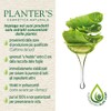Planter's Aloe Vera Cream 10 Rules 150 ml